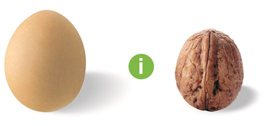 SBi - der systemische Lehrgang - Ei Und Nuss - Steuern, Transformieren und Stabilisieren von Organisationen SBi - der systemische Lehrgang - Ei Und Nuss - Steuern, Transformieren und Stabilisieren von Organisationen